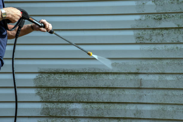 Best Gutter Cleaning and Brightening in Maine, WI